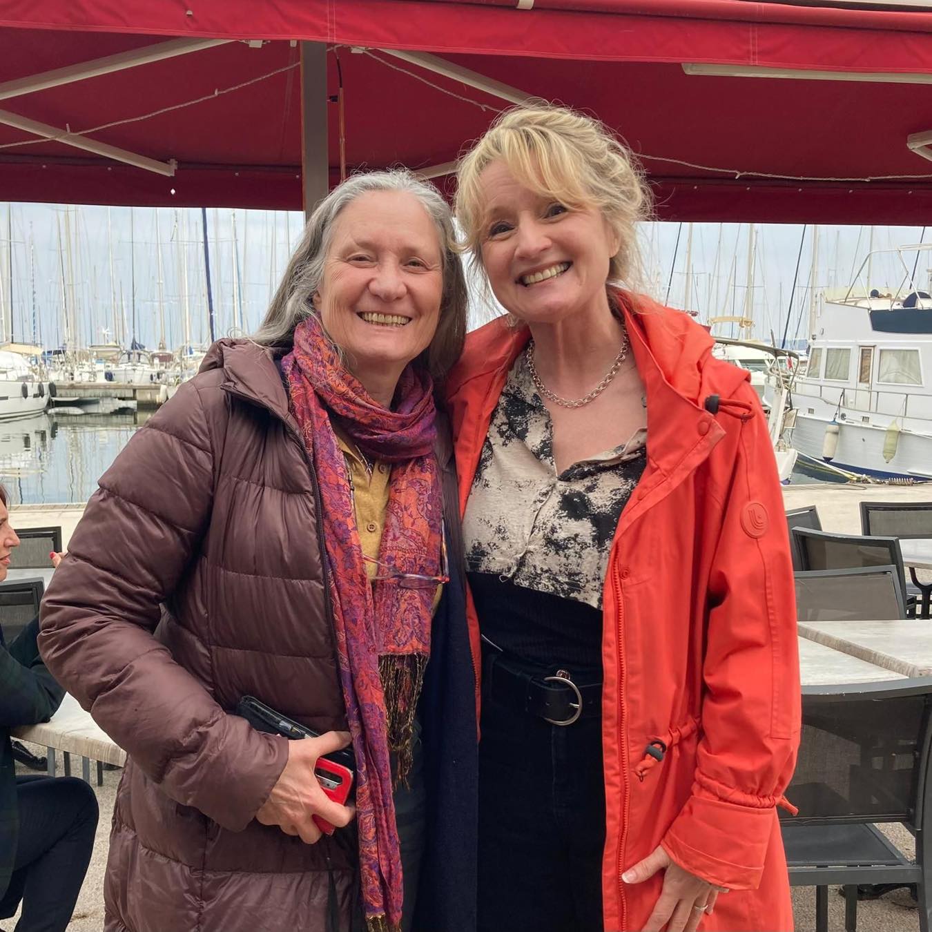 Johanne Lemieux - La normalité adoptive - Isabelle Filliozat